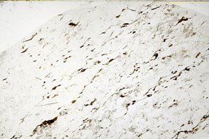 Plane Polarized, S80802