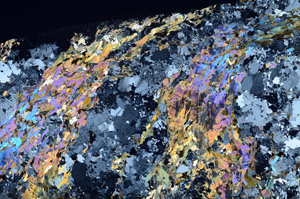 Cross Polarized, S80803