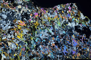 Cross Polarized, S80806