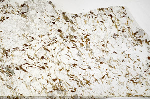 Plane Polarized, S80806