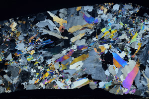 Cross Polarized, S80807