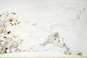 Plane Polarized, S80807