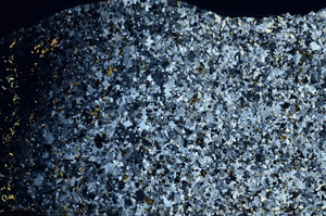 Cross Polarized, S80810