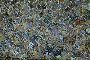 Cross Polarized, S80811