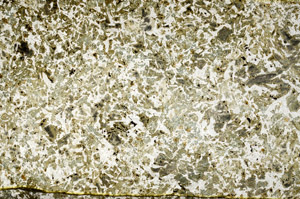 Plane Polarized, S80811