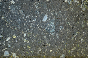 Cross Polarized, S80812