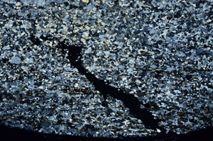 Cross Polarized, S80813