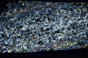 Cross Polarized, S80814