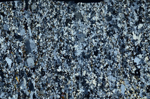 Cross Polarized, S80816