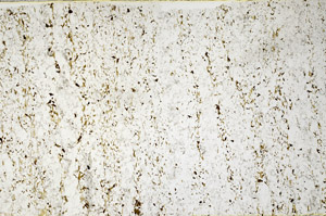 Plane Polarized, S80816