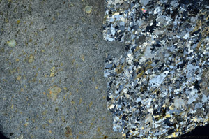 Cross Polarized, S80820