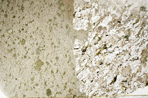 Plane Polarized, S80820