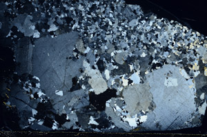 Cross Polarized, S80821