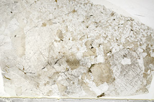 Plane Polarized, S80821