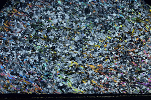 Cross Polarized, S80822