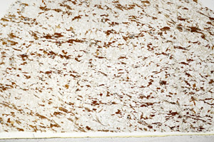 Plane Polarized, S80822