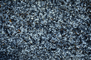 Cross Polarized, S80823