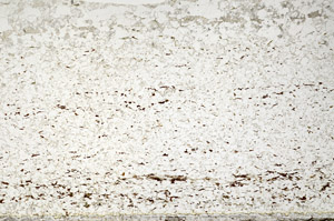 Plane Polarized, S80824