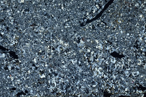 Cross Polarized, S80825