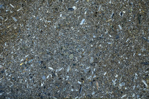 Cross Polarized, S80855