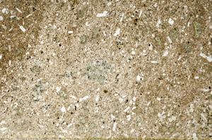 Plane Polarized, S80855