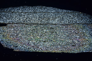 Cross Polarized, S80917