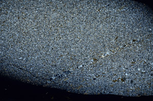 Cross Polarized, S80927