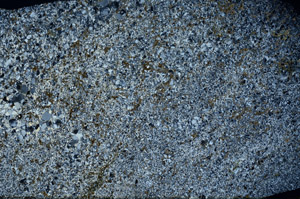 Cross Polarized, S80931