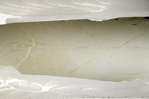 Plane Polarized, S80951