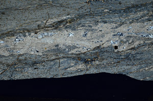 Cross Polarized, S80953