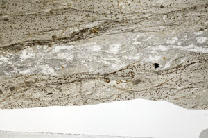 Plane Polarized, S80953