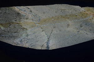 Cross Polarized, S80956
