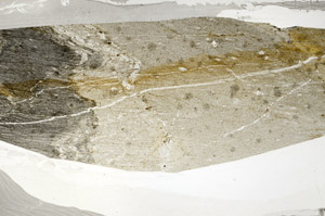 Plane Polarized, S80956