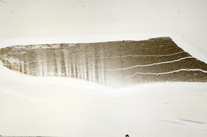 Plane Polarized, S80958