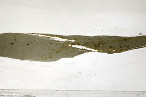Plane Polarized, S80959