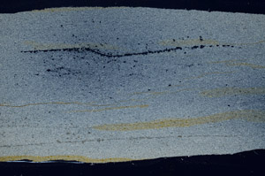 Cross Polarized, S80960