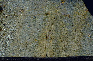 Cross Polarized, S80966