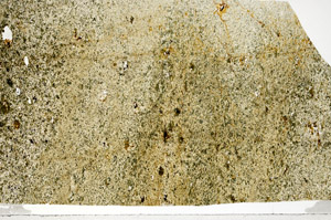 Plane Polarized, S80966