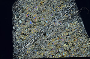 Cross Polarized, S80976