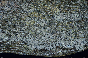 Cross Polarized, S80977