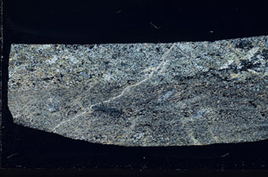 Cross Polarized, S80991