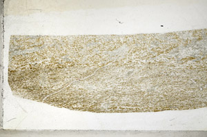 Plane Polarized, S80991