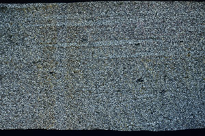 Cross Polarized, S80992