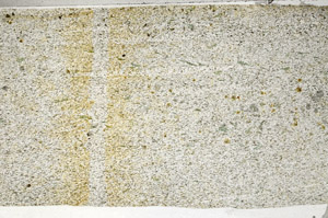 Plane Polarized, S80992