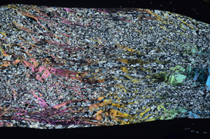 Cross Polarized, S80993