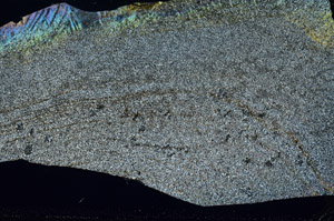 Cross Polarized, S80994