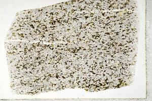 Plane Polarized, S81018