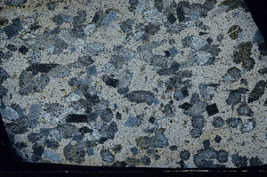 Cross Polarized, S81025