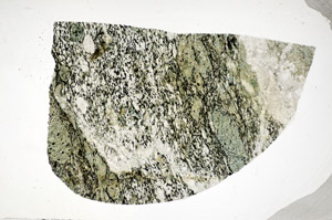 Plane Polarized, S81102