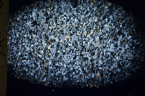 Cross Polarized, S81107